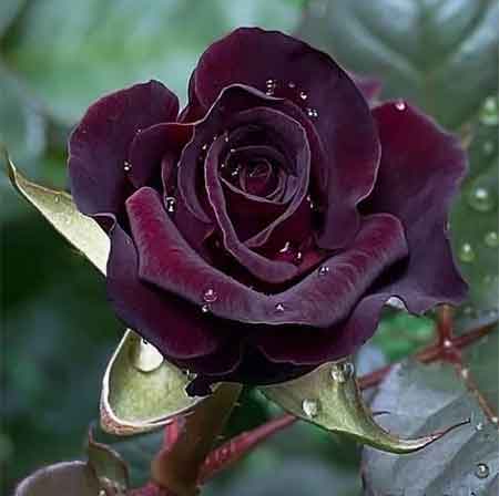 دانلود آهنگ سرنوشت عباس حداد